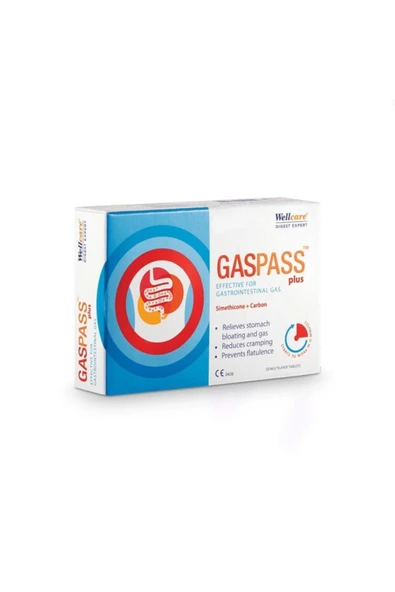 WELLCARE Gaspass Plus 20 Tablet