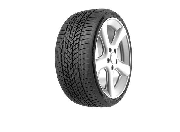 Funtoma 205/55 R16 TL 91H ROADFUN WINTER FUNTOMA Kış Lastiği (Üretim Tarihi:2024)