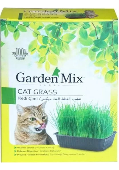 Garden Mix Naturel Kedi Çimi 13 x 18 CM