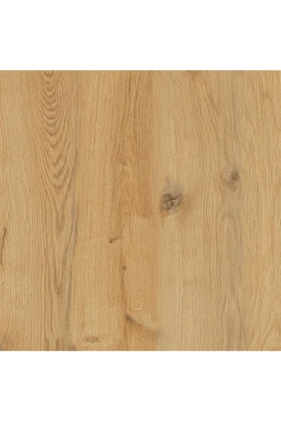 Mirobi Arles 2 Masa Üstü Ayarlanabilir Raf İki Raflı Masa Tezgah Üstü Organizer Masa Düzenleyici Tez - 3