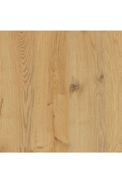 Mirobi Modern 5 Raflı Kitaplık Dekoratif Kitaplık Rivoli - 6