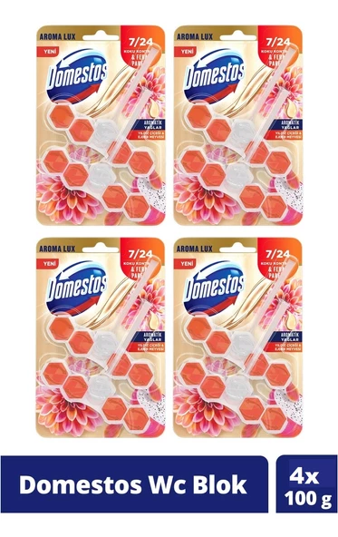 Domestos Tuvalet Bloğu Aroma Lux Yıldız Çiçeği & Ejder Meyvesi 100 Gr x 4 Adet