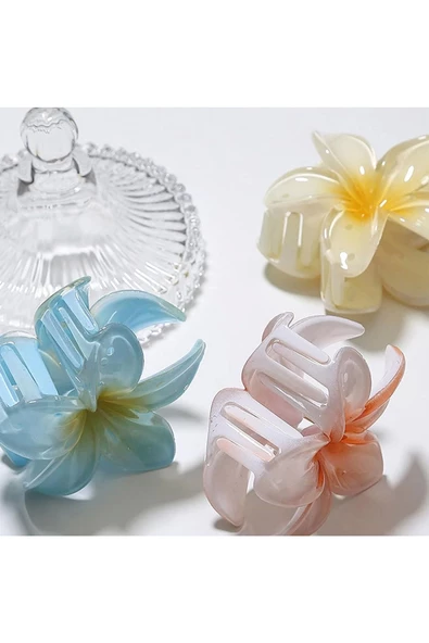 6'lı Lotus Çiçeği Mandal Toka Parlak Akrilik Çok Renkli Mika Şık Yeni Sezon Kadın Saç Tokası Seti - 3