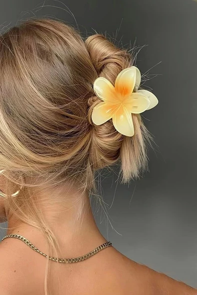 6'lı Lotus Çiçeği Mandal Toka Parlak Akrilik Çok Renkli Mika Şık Yeni Sezon Kadın Saç Tokası Seti - 2