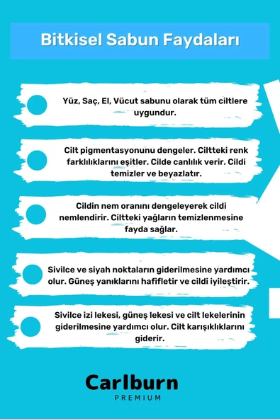 Lüks %100 Doğal Güzel Kokulu El Yüz Saç Vücut Cilt Orijinal Bitkisel Sidr Sabunu 120G - 10 Adet - 3