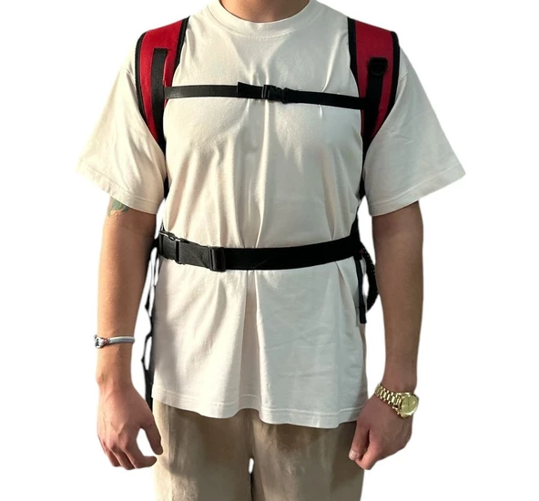 Polat Zeytin Hasat Makinası Lityum Sırt Çantalı Batarya 33V - 3