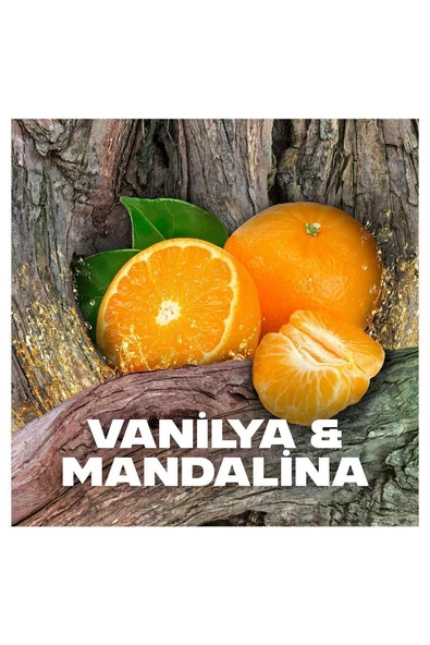 Axe Erkek Sprey Deodorant Africa 48 Saat Etkileyici Koku 150 ml x3 - 4