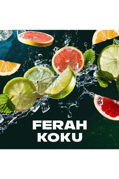 Axe Epic Fresh 150 ml 3 Adet Erkek Deodorant - 6