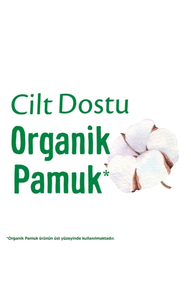 Molped Pure & Soft Gece 30'lu 2 Adet Mega Paket Hijyenik Ped - 4