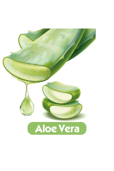 Baby Turco Softcare Aloe Vera 90 Yaprak 12'li Paket Islak Bebek Havlusu - 4