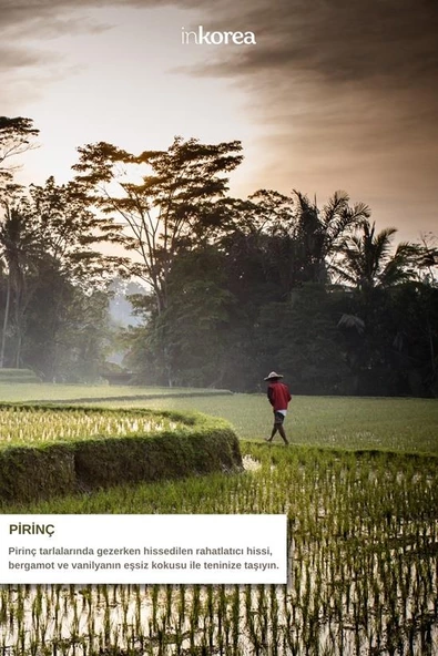 İnkorea Cilt Beyazlatıcı Etkili Pirinç Özlü Doğal Kabak Lifli Sabun 100 Gram - 5