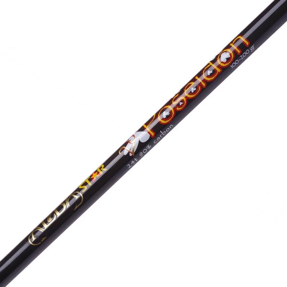 Albastar Poseidon 420 cm 100-200g Atarlı Karbon Surf Olta Kamışı - 4