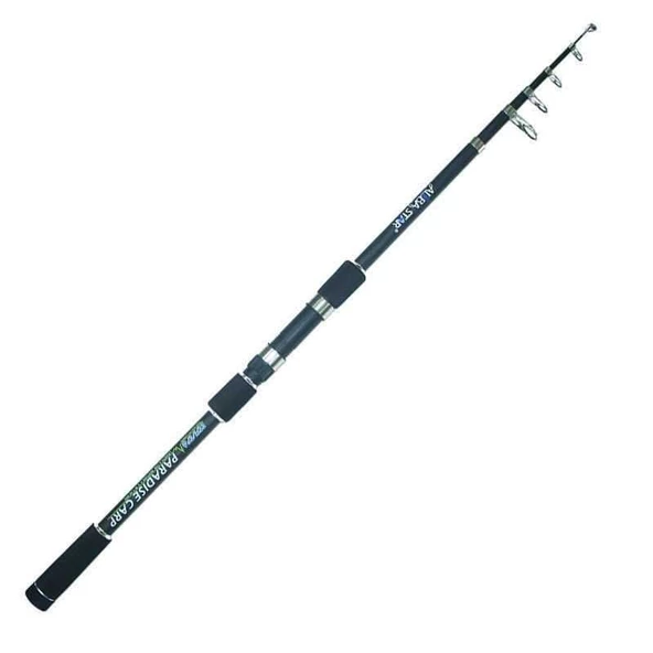 Albastar Paradise Carp 300 cm 40-80g Atarlı Karbon Sazan Olta Kamışı