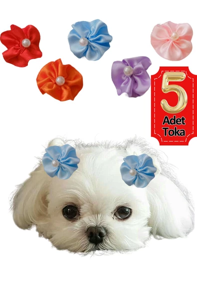 çiçek kedi köpek tokası 5 li set karışık renklerde HBYOLL, one size