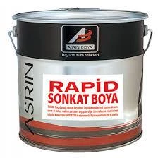 Asrın Rapid Endüstriyel Boya Ral 6005 1 Kg