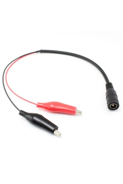 12 Volt Aküler Için Krokodil Timsah Maşalı Şarj Cihazı - 2