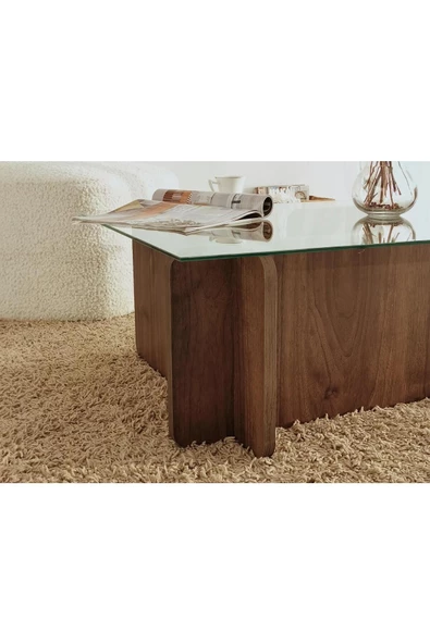 Eriza Piano, Yeni Nesil Modern Dikdörtgen Cam Orta Sehpa, Ceviz - 4
