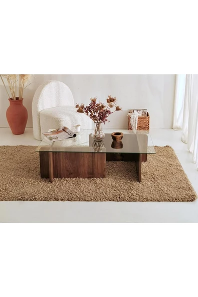 Eriza Piano, Yeni Nesil Modern Dikdörtgen Cam Orta Sehpa, Ceviz - 3
