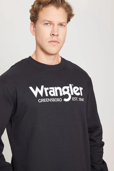Wrangler Regular Fit Normal Kesim %100 Pamuk Sıfır Yaka Sweatshirt - 5