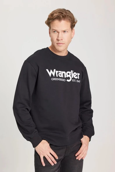 Wrangler Regular Fit Normal Kesim %100 Pamuk Sıfır Yaka Sweatshirt - 2