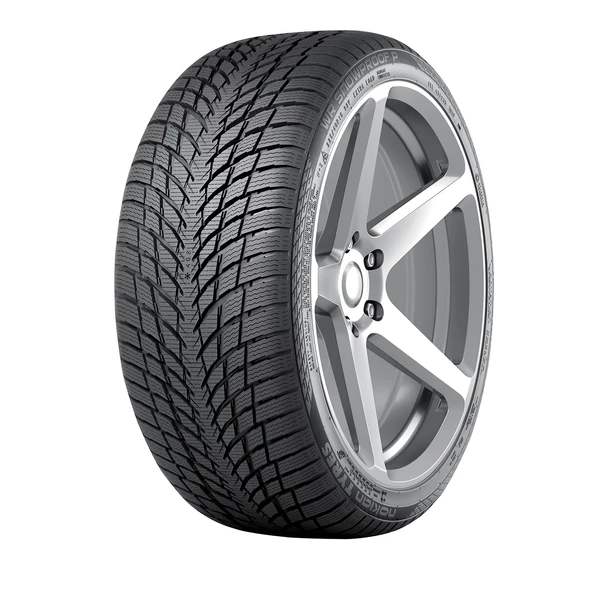 Nokian Tyres 225/45 R19 96V XL WR Snowproof P Kış Lastiği ( Üretim Yılı: 2024 )