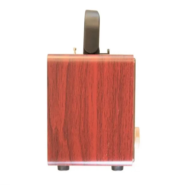 NNS Ns-2071 Usb / Tf Kart / Fm Retro Taşınabilir Bluetooth Hoparlör - 5
