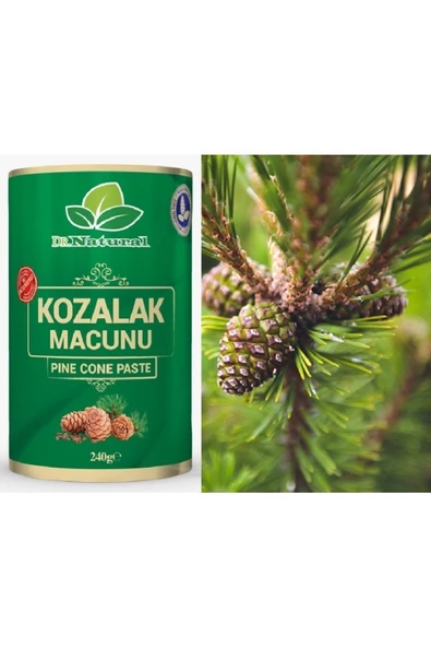 Kozalak Macunu Çam Kozalağı Macun 240 Gr. (3 ADET) - 4