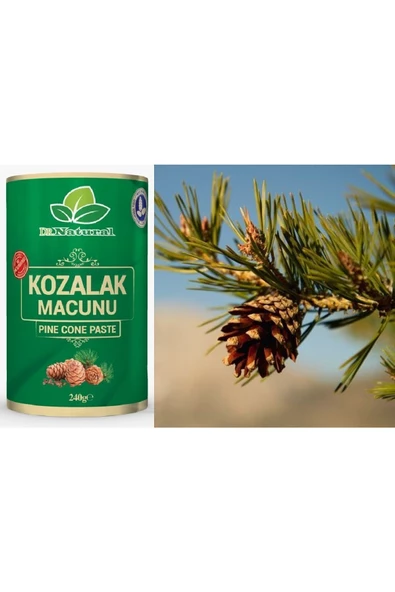 Kozalak Macunu Çam Kozalağı Macun 240 Gr. - 5