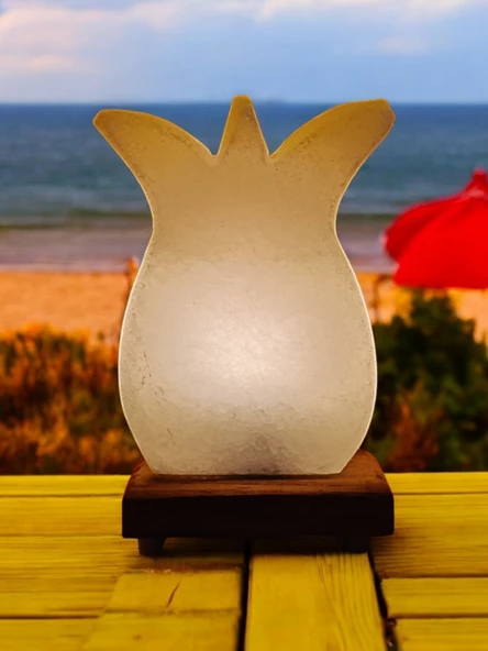 Çankırı Kaya Tuzu Lale Lamba 2-3kg Özdede Shop - 2