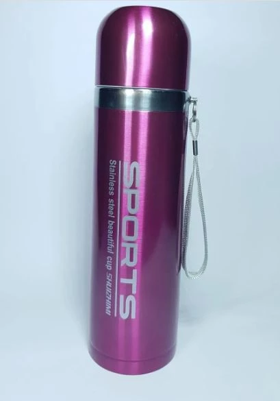 Sports 500 Ml Pembe Termos