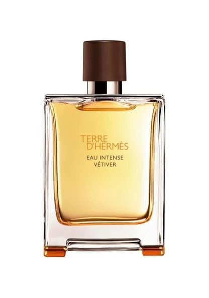 Hermes Terre D'hermes Eau Intense Vetiver Edp 100 Ml Erkek Parfümü - 2