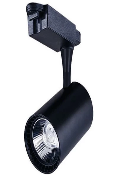 Noas 30w Led Ray Spot Siyah Kasa Beyaz Işık Paris-yl29-3101