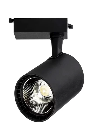 Noas YL29-3102 30W 3200K Günışığı Paris Siyah Kasa Led Ray Spot Armatür