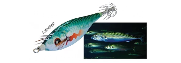 DTD BLOODY FISH 2.5  7 CM 9.8 GR SCOMBER ürün görseli