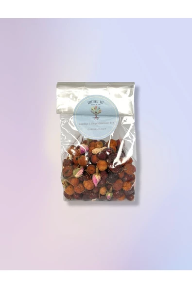 GURUYEMİŞ BOX Kuşburnu & Zencefil Gül Tomurcuk Çay Immune Tea Bitki Çayı - 2
