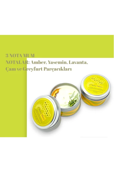GURUYEMİŞ BOX 3 Nota Hediyelik Mum Soya Mum Doğal 90gr - 5