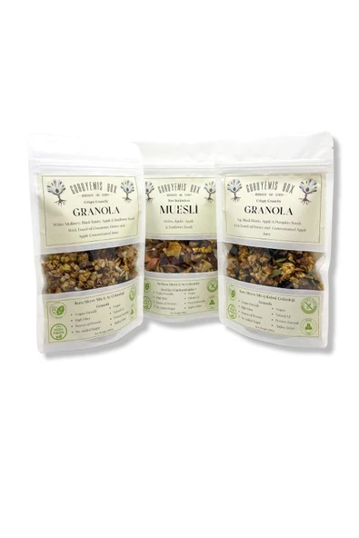 GURUYEMİŞ BOX Granola Ve Müsli 3li Set Bol Kuru Meyveli Ve Çekirdekli Vegan Şekersiz Lif Kaynağı 100gr 3 Adet - 2
