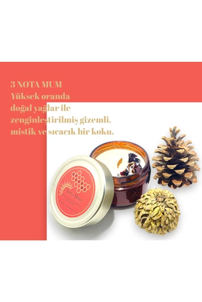 GURUYEMİŞ BOX Beehive 3 Nota Hediyelik Mum Soy Wax Candle Doğal Soya Mum Amber Şişe 200gr - 5