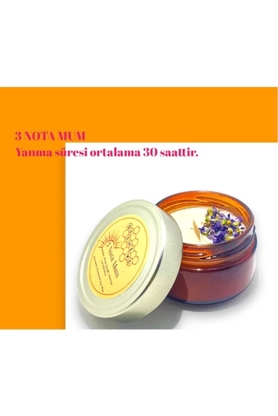 GURUYEMİŞ BOX 3 Nota Hediyelik Mum Soy Wax Candle (DOĞAL SOYA MUMU) - 6