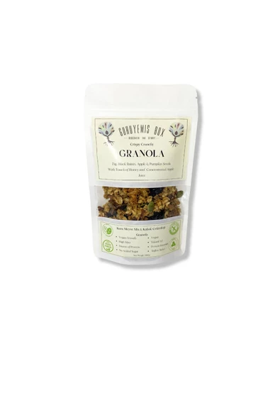 GURUYEMİŞ BOX Granola Kahvaltılık Gevrek Bol Kuru Meyveli Kabak Çekirdekli Bal Incir Üzüm Elma Kurusu Vegan 100gr - 2