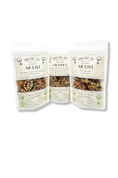 GURUYEMİŞ BOX Granola Ve Müsli 3li Set Bol Kuru Meyveli Ve Çekirdekli Vegan Şekersiz Protein Kaynağı 100gr 3 Adet - 2