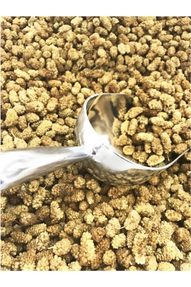 Organik Bitkim Malatya Dut Kurusu 1000 gr - 3