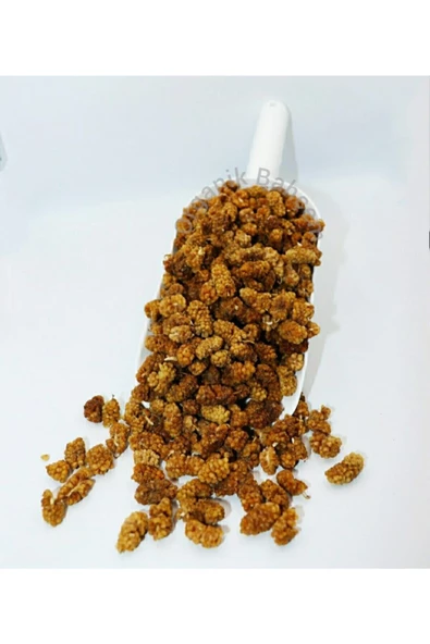 ORGANİK BAHÇEM Dut Kurusu Yeni Mahsul 1000g ürün görseli 1