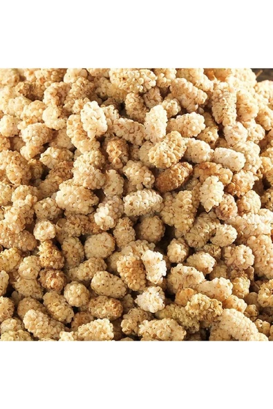 REFA GIDA Dut Kurusu 250gr - 2
