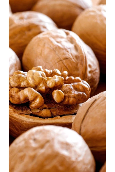 GURUYEMİŞ BOX Kabuklu Ceviz 500gr - 3