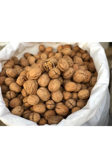 kayalı organik Kabuklu Ceviz 1 Kg - 2