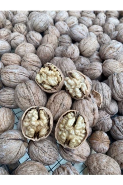 SULTAN CEVİZ BAHÇELERİ 3 Kg Dalından Taze Yeşil Kabuklu Ceviz ( Lütfen Açıklamayı Okuyunuz) - 6