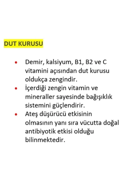 Tuğba Kuruyemiş Dut Kurusu 250 gr - Resim 2
