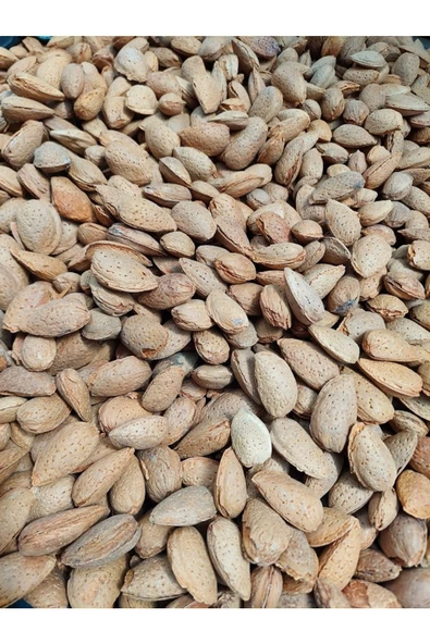 kayalı organik Kabuklu Badem 1 Kg (Kayalı Organik)