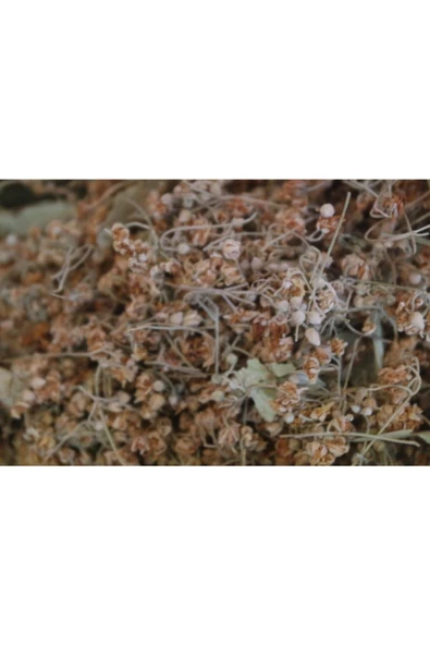 AKÇİN GIDA Ihlamur Çiçek 100 Gr - 2